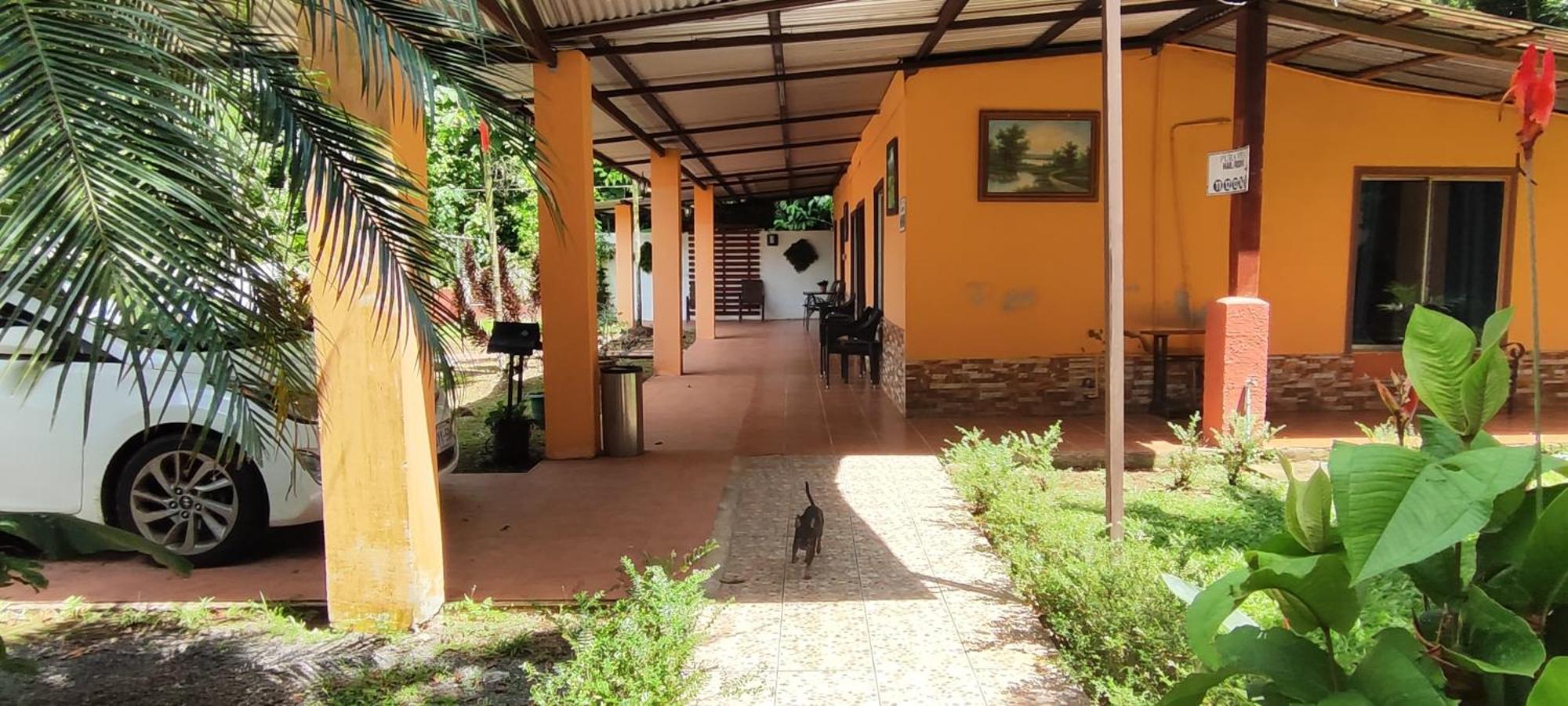 Hotel Maguey Тигре Экстерьер фото